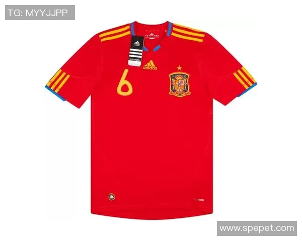 足球场上的传奇六号球衣背后的明星故事揭秘